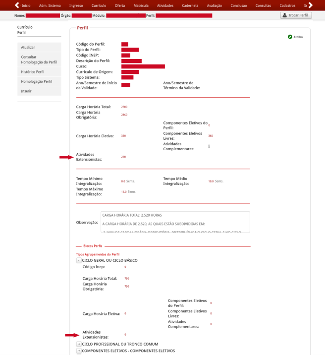 Imagem que ilustra como ficou a tela de detalhamento de um perfil após as alterações