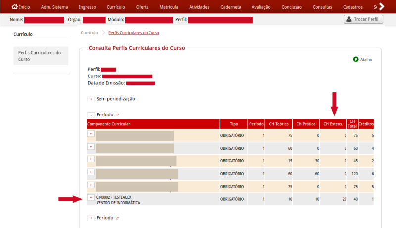 Arquivo:Perfis Curriculares do Curso por Periodo.png